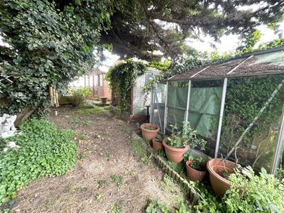 Picture 15